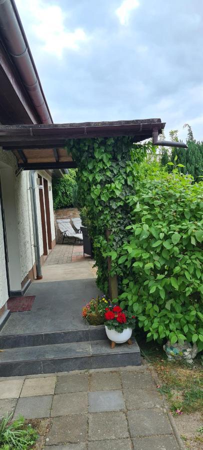 Ferienwohnung Hampel Altglietzen المظهر الخارجي الصورة